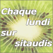 Chaque lundi, Kiwi, roman feuilleton de Pierre ALFERI sur sitaudis