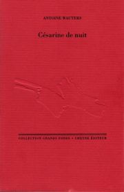 Césarine de nuit d'Antoine Wauters