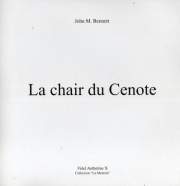 La chair du Cenote de John M. Bennett