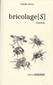 bricolage[s], Camille Révol et quelques autres
