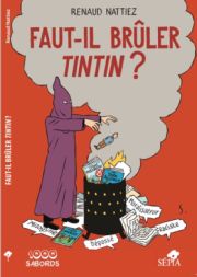 Faut-il brûler Tintin ? de Renaud Nattiez