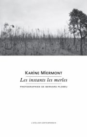 Karine Miermont - Les instants les merles