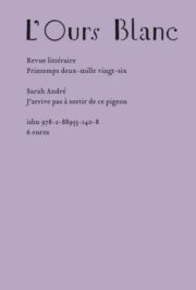 Sarah André - J’arrive pas à sortir de ce pigeon
