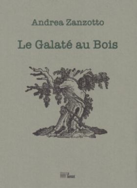 Andrea Zanzotto, Le Galaté au Bois