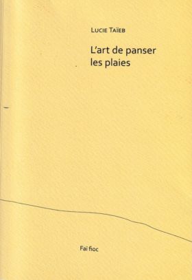 Lucie Taïeb, L’art de panser les plaies