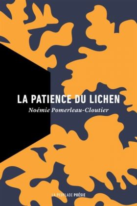 Noémie Pomerleau-Cloutier, LA PATIENCE DU LICHEN