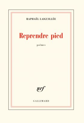 Reprendre pied de Raphaël Laiguillée