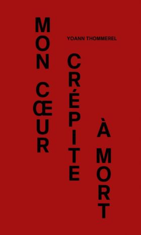 Yoann Thommerel - Mon cœur crépite à mort