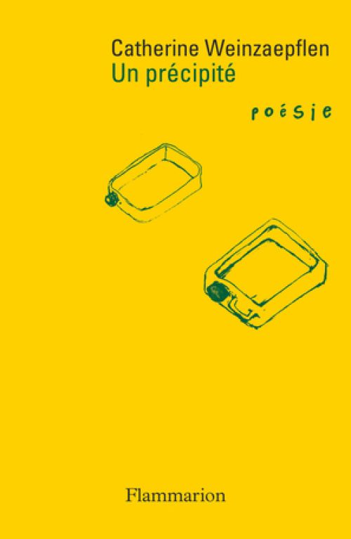 Catherine Weinzaepflen-Un précipité              