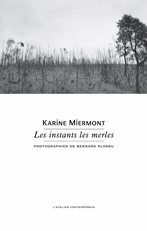 Karine Miermont - Les instants les merles              