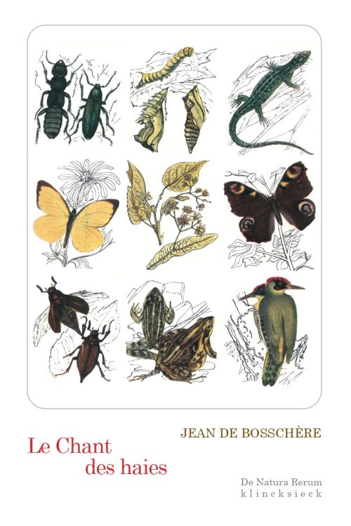 Le Chant des haies de Jean de Bosschère              