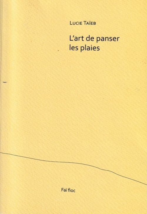 Lucie Taïeb, L’art de panser les plaies              