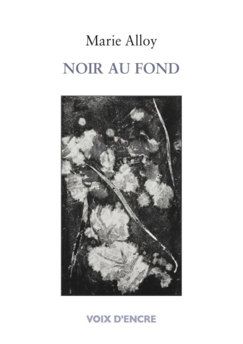   Marie Alloy - Noir au fond               
