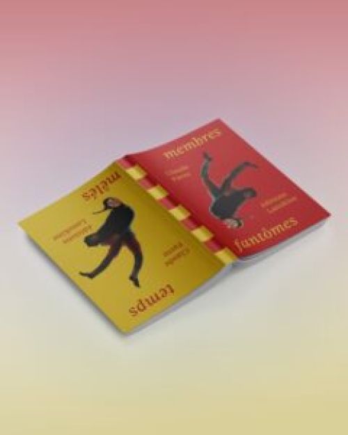 Membres fantômes / temps mêlés, Claude Favre              
