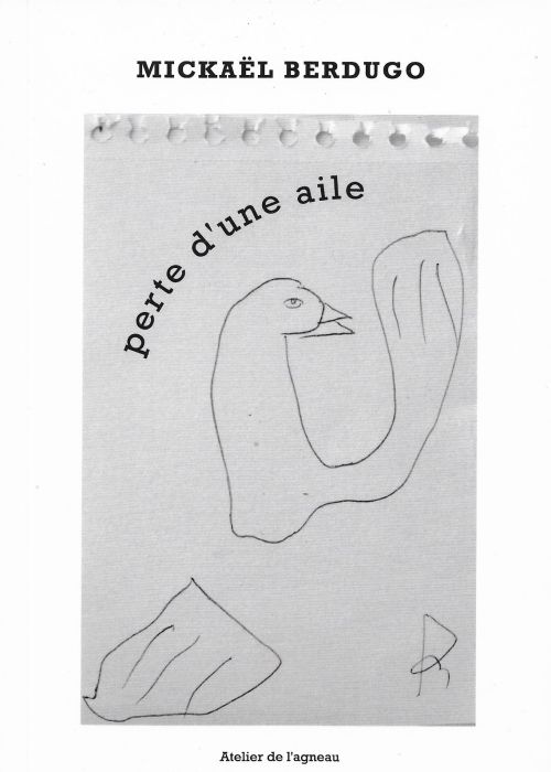 Mickaël Berdugo – Perte d’une aile              