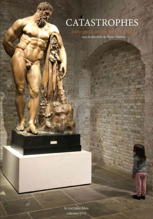 Revue - CATASTROPHES 5, la fin de l'aventure              