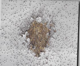 Balance bascule de PFUI, CD