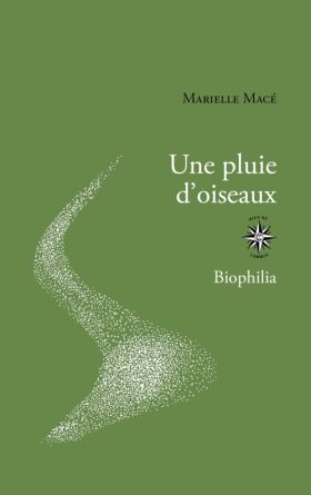 Marielle Macé, Une pluie d’oiseaux